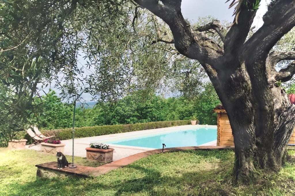 Apartamento La Coccinella San Venanzo Exterior foto