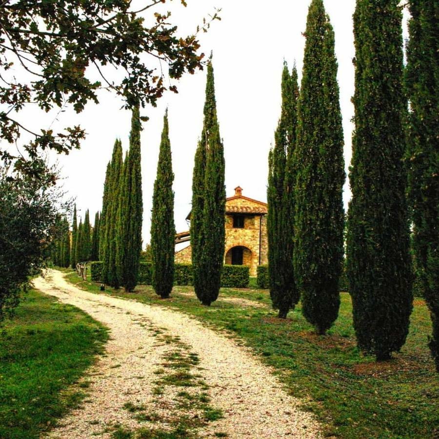 Apartamento La Coccinella San Venanzo Exterior foto