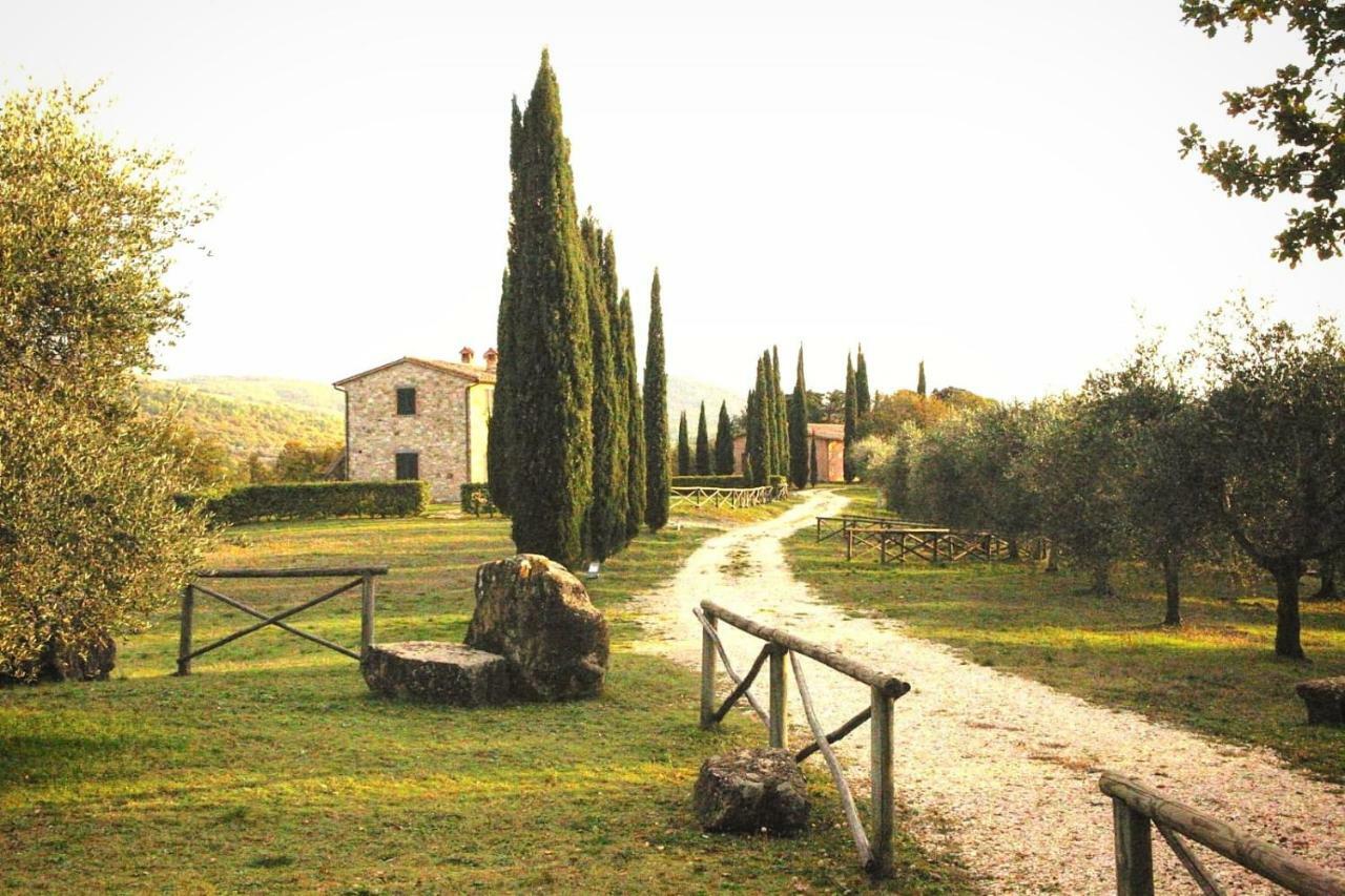 Apartamento La Coccinella San Venanzo Exterior foto