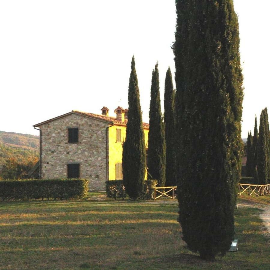 Apartamento La Coccinella San Venanzo Exterior foto