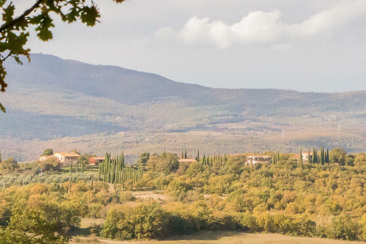 Apartamento La Coccinella San Venanzo Exterior foto