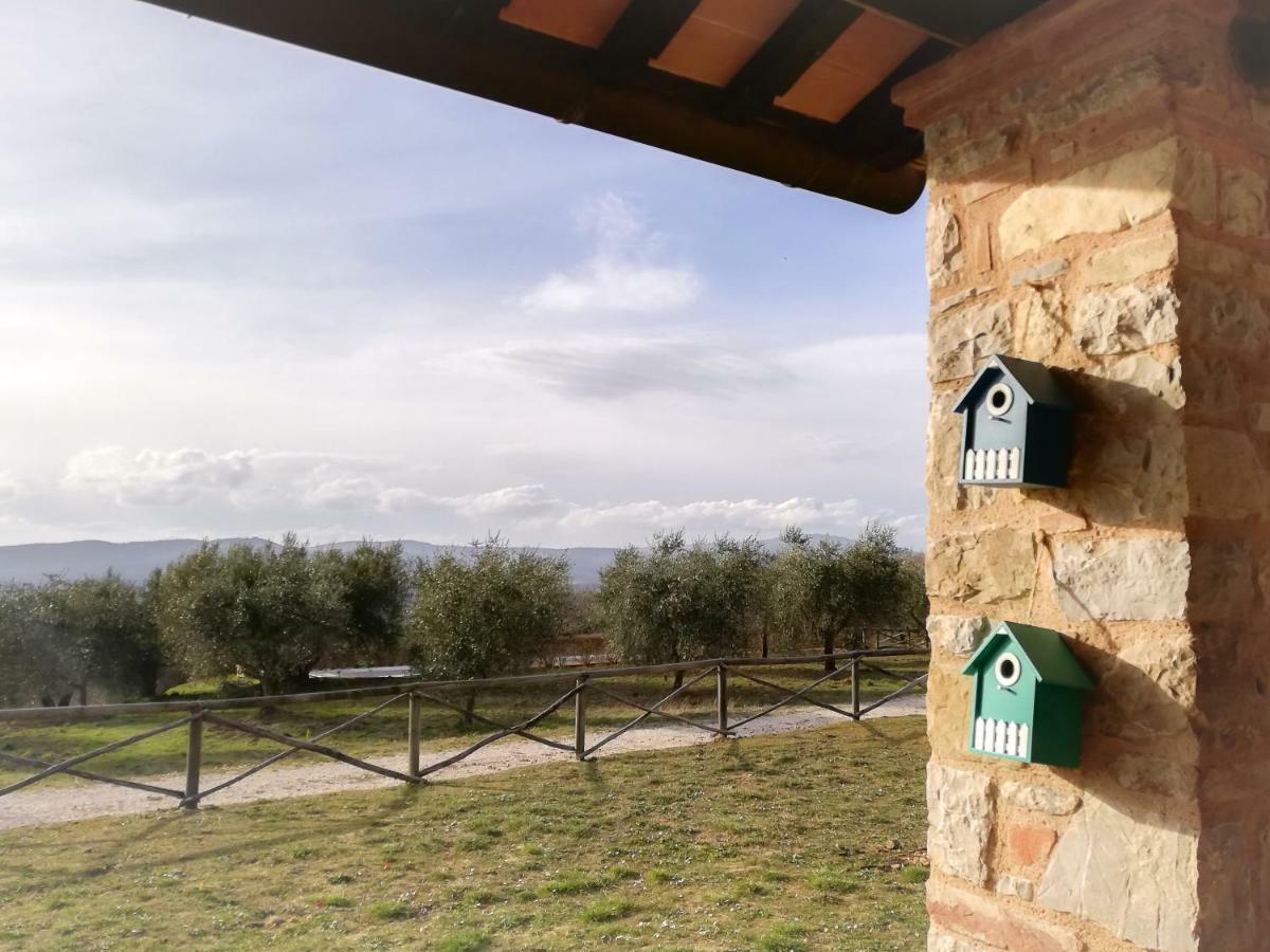 Apartamento La Coccinella San Venanzo Exterior foto