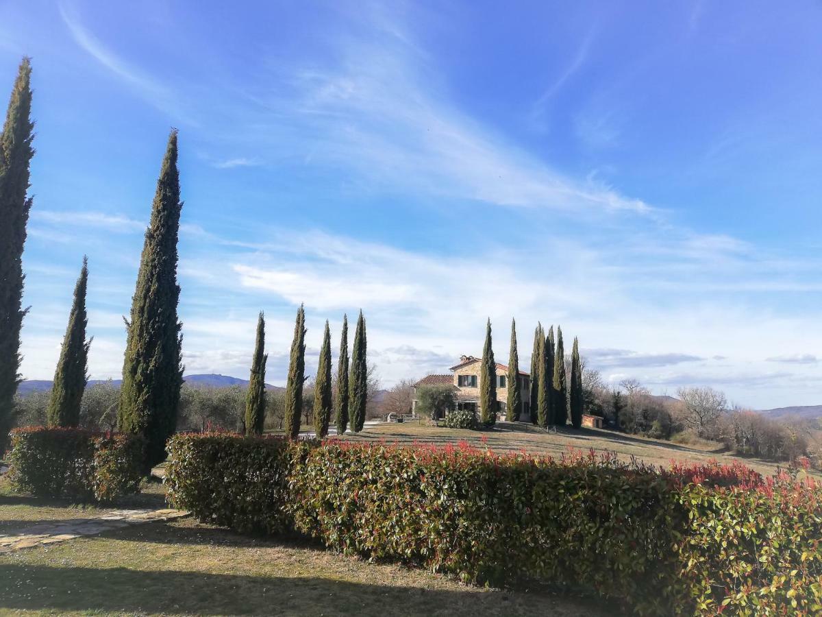 Apartamento La Coccinella San Venanzo Exterior foto
